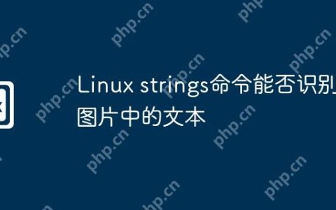 Linux strings命令能否识别图片中的文本