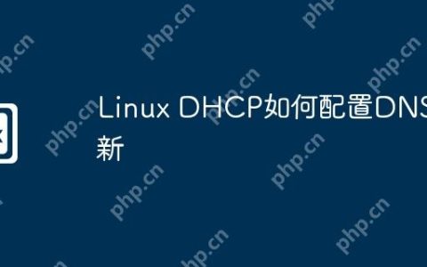 Linux DHCP如何配置DNS更新