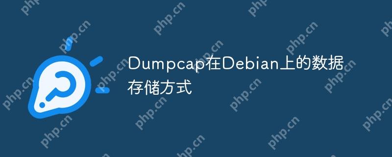 Dumpcap在Debian上的数据存储方式
