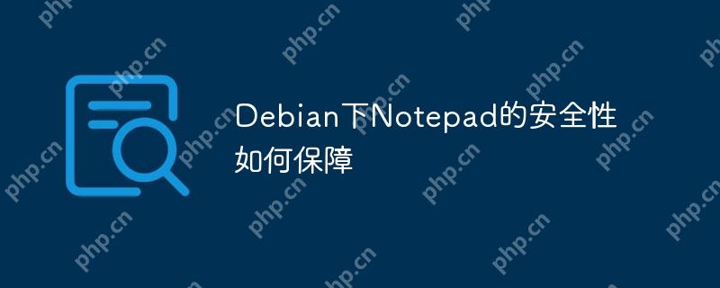 debian下notepad的安全性如何保障