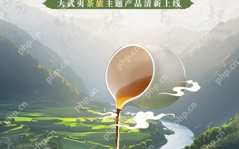 大武夷茶旅｜“半米茶席”IP焕新，共启茶香经济新篇章