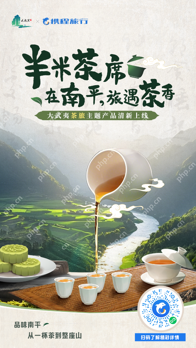 大武夷茶旅|“半米茶席”ip焕新,共启茶香经济新篇章