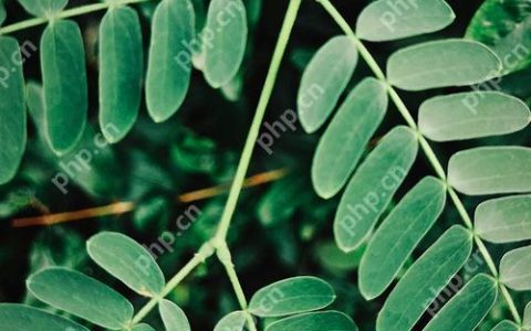 荣耀100电池循环次数查询方法