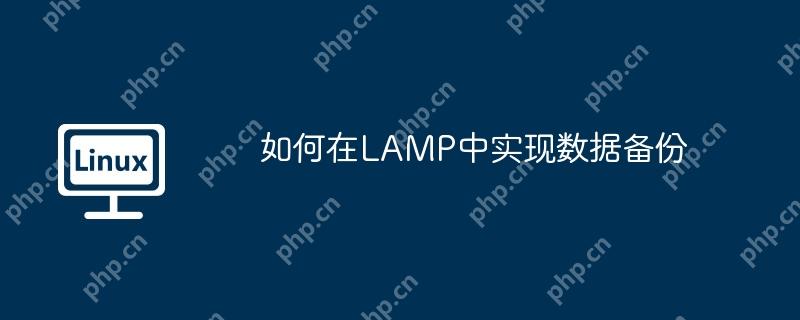 如何在LAMP中实现数据备份