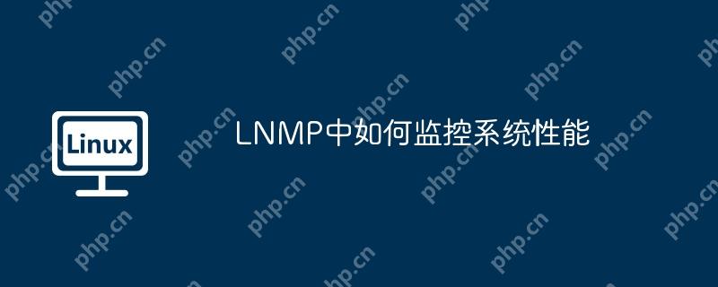 lnmp中如何监控系统性能