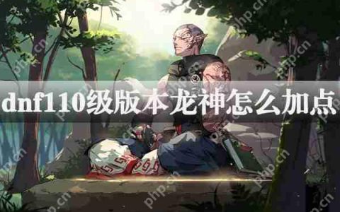 dnf110级版本龙骑士加点攻略