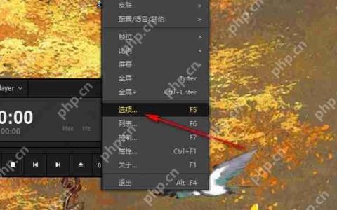 potplayer如何开启硬件解码？potplayer设置硬件解码的两种方法