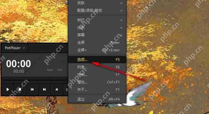 potplayer如何开启硬件解码?potplayer设置硬件解码的两种方法