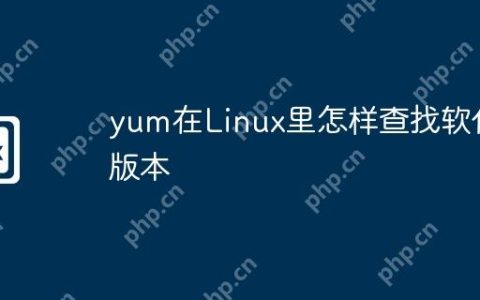 yum在Linux里怎样查找软件版本