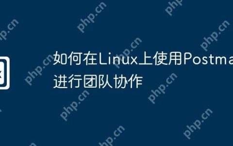 如何在Linux上使用Postman进行团队协作