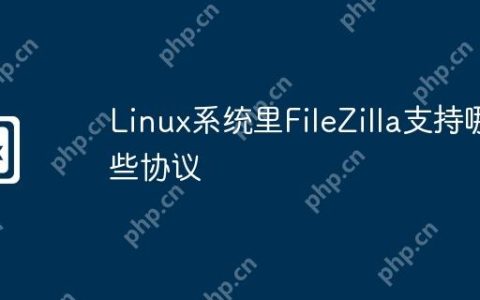 Linux系统里FileZilla支持哪些协议