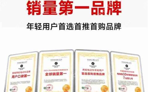 智能电动车新标杆！九号六项市场领先地位权威确认