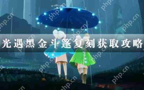 光遇黑金斗篷复刻获取攻略