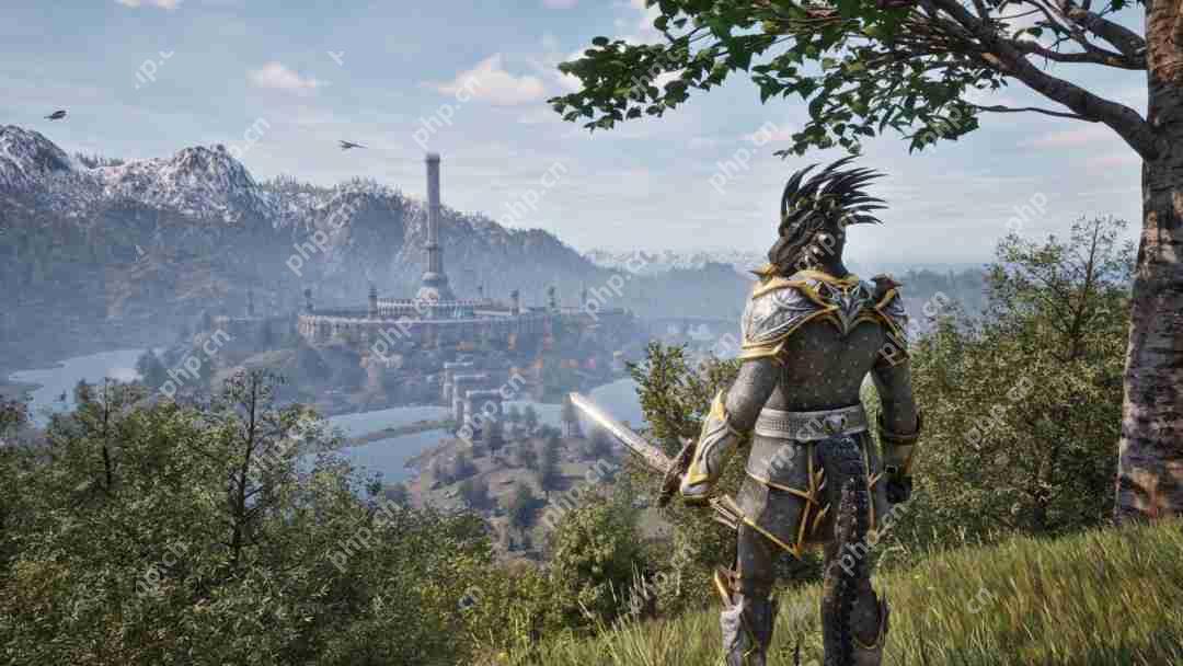 《上古卷轴4:湮灭重制版》发售 Steam 249元、PC配置公开