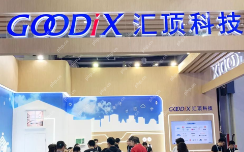 汇顶科技Q1实现营收10.64亿元，净利润同比增长20.29%
