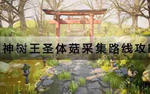 原神树王圣体菇采集路线攻略