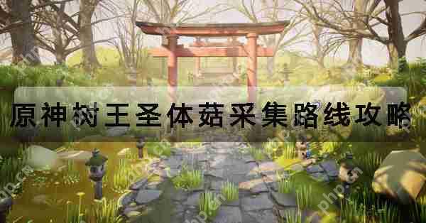 原神树王圣体菇采集路线攻略