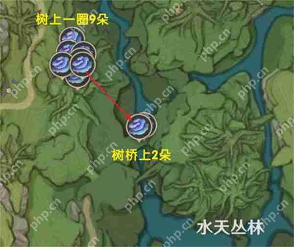 原神树王圣体菇采集路线攻略