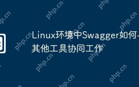 Linux环境中Swagger如何与其他工具协同工作