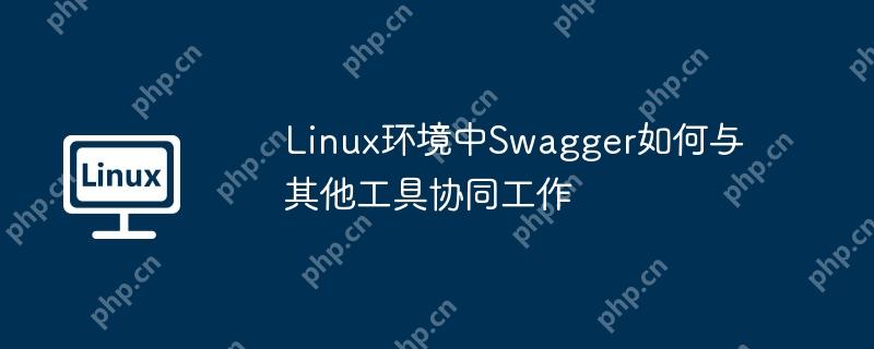 Linux环境中Swagger如何与其他工具协同工作