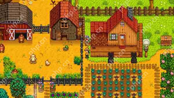 星露谷物语鹦鹉螺获取攻略