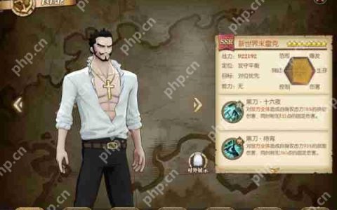 航海王燃烧意志SSR新世界米霍克攻略