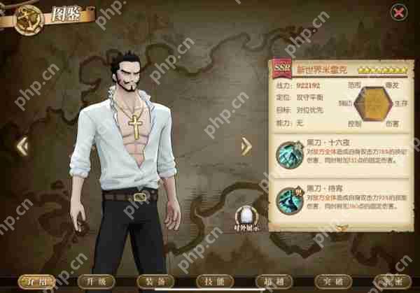航海王燃烧意志SSR新世界米霍克攻略