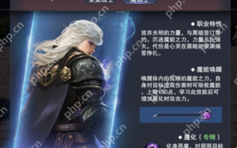 新神魔大陆魔剑士技能介绍