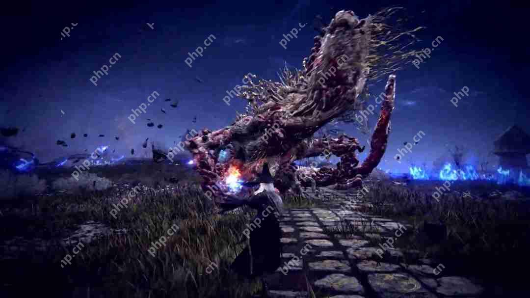 《艾尔登法环:黑夜君临》隐士预告 施展强力魔法