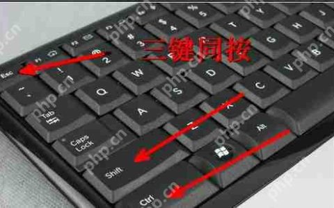 dat文件用什么打开?
