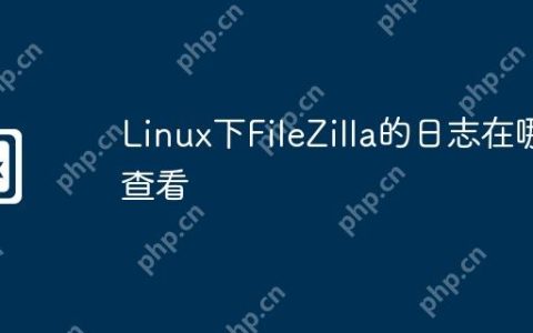 Linux下FileZilla的日志在哪查看