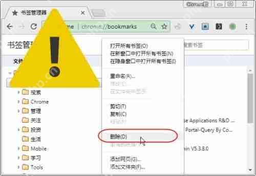 谷歌浏览器书签不见了怎么解决?