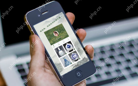 电商系统开发：免编程10分钟制作电商app