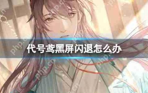 代号鸢黑屏闪退怎么办