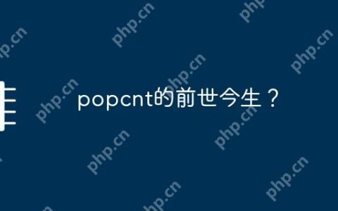 popcnt的前世今生？