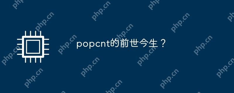 popcnt的前世今生?