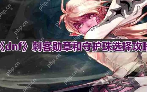 dnf110版本刺客守护珠和勋章如何选择-刺客勋章和守护珠选择攻略