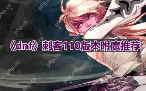 dnf110版本刺客附魔选什么-刺客110版本附魔推荐