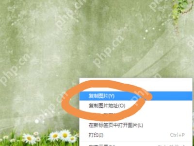 sai怎么导入图片