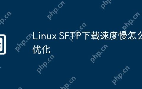 Linux SFTP下载速度慢怎么优化