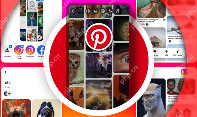 pinterest官网入口2025 pinterest官网登录入口 - 创想鸟