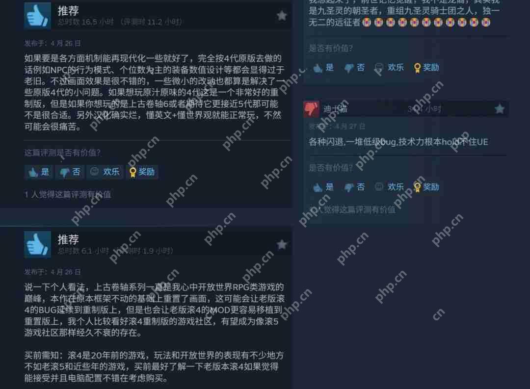 《上古卷轴4:湮灭重制版》Steam峰值超20万 中文区多半好评
