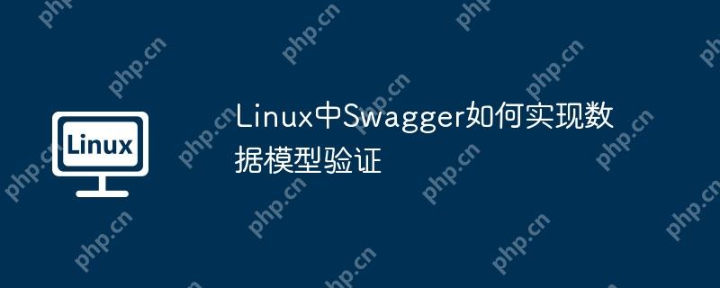 Linux中Swagger如何实现数据模型验证