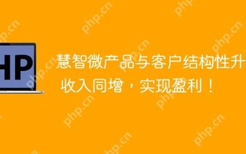 慧智微产品与客户结构性升级 收入同增，实现盈利！