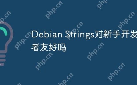 Debian Strings对新手开发者友好吗