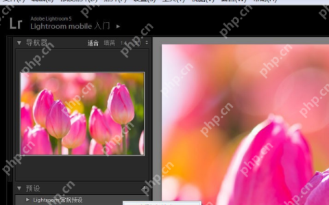 lightroom怎么导入预设