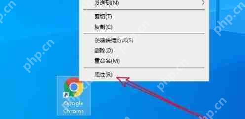谷歌浏览器打不开怎么回事?