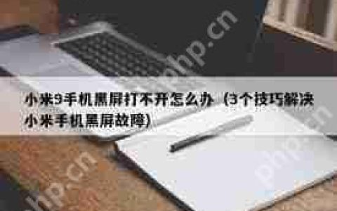 小米9手机黑屏打不开怎么解决_小米9手机黑屏故障解决方法