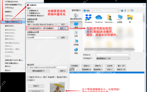 irfanview怎么批量裁剪截图？