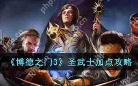 博德之门3圣武士怎么加点